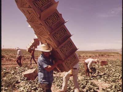 High Heat Is Preferentially Killing the Young, Not the Old, New Research Finds